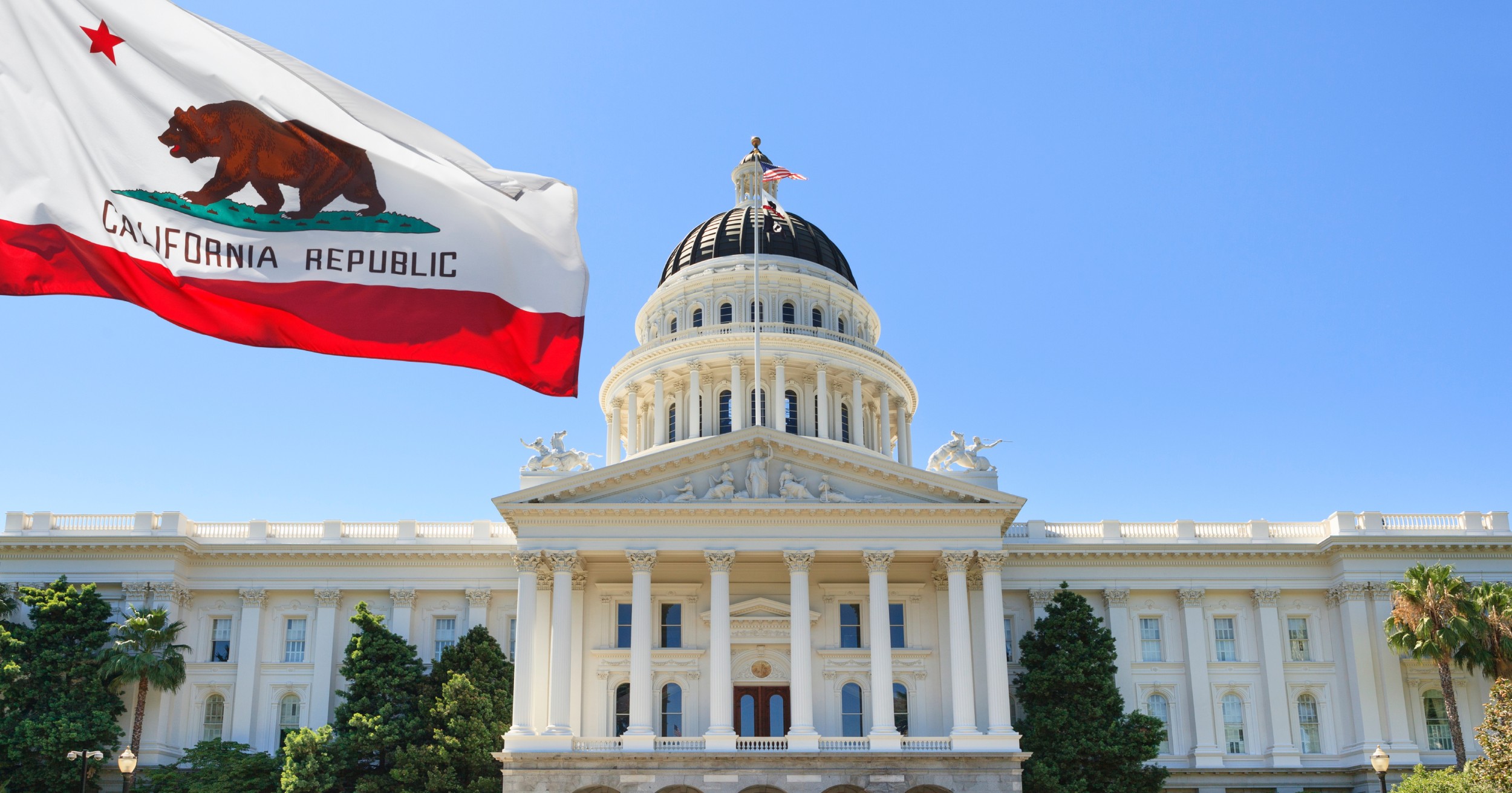 requesting-calls-letters-and-visits-in-support-of-reparations-bills